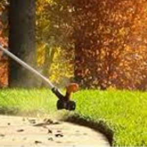 cat_trimmer Trimmers