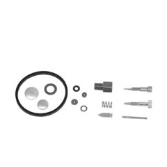 CARBURETOR KIT- TECUMSEH – Oregon 49-133