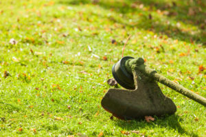 Mower brushcutter on green grass Brushcutter mower lying on green grass. Seasonal garden cleaning moder objects concept.