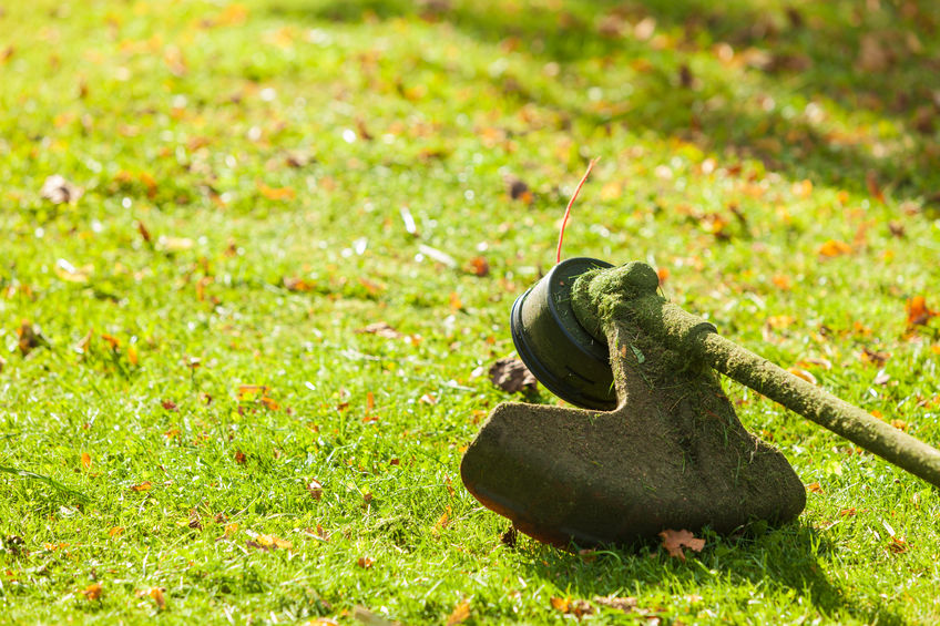 Mower brushcutter on green grass Brushcutter mower lying on green grass. Seasonal garden cleaning moder objects concept.