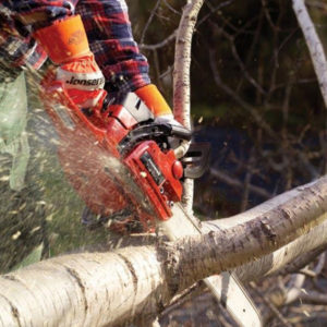 cat_chainsaw cat_chainsaw